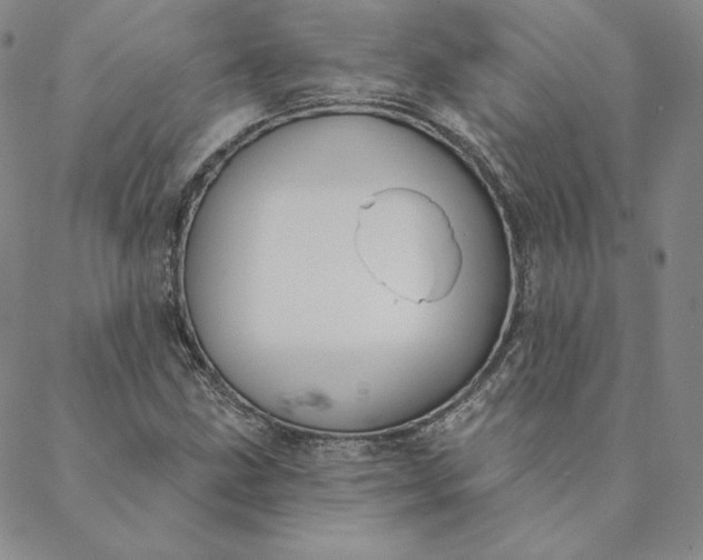 X0000088611211200706081426