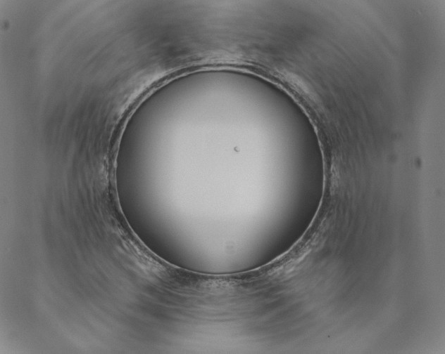 X0000088611212200706081426