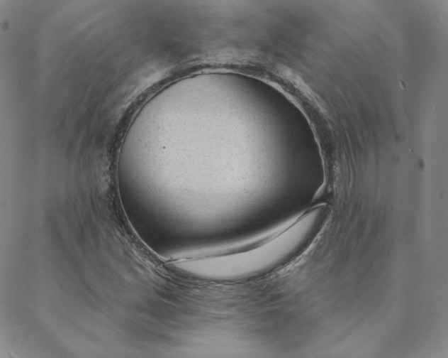 X0000088611213200706081426