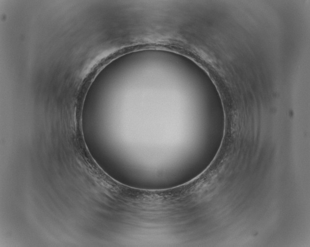 X0000088611214200706081426