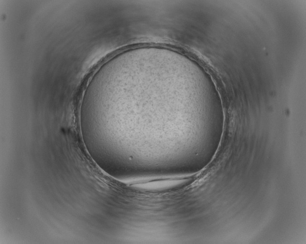 X0000088611215200706081426