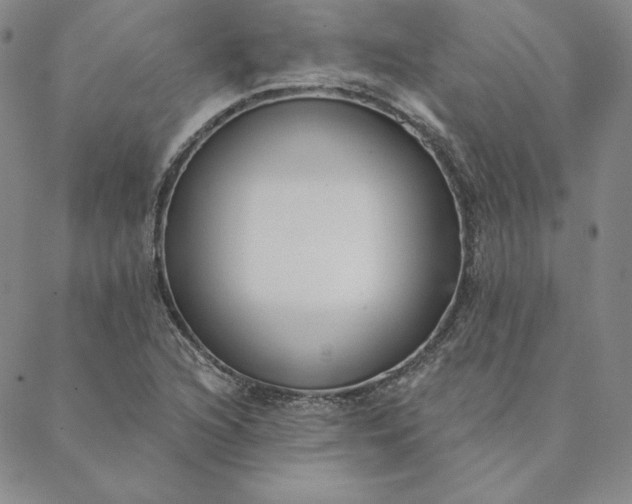 X0000088611216200706081426