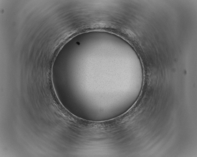 X0000088611217200706081426