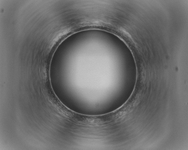 X0000088611218200706081426