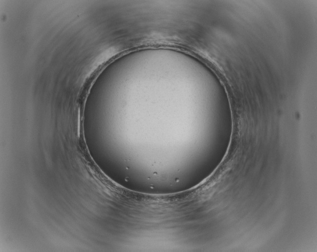 X0000088611219200706081426