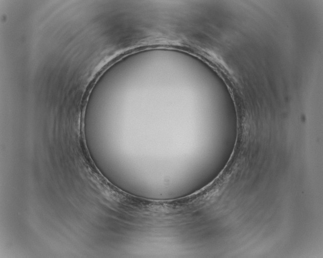 X0000088611220200706081426