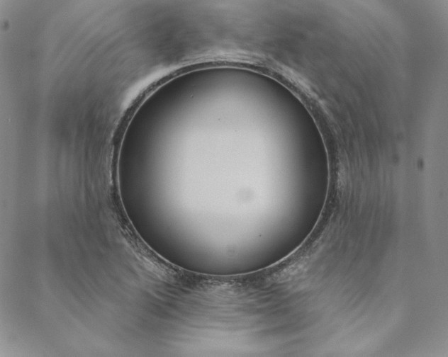 X0000088611222200706081426