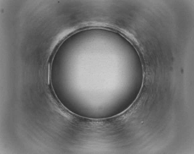 X0000088611223200706081426