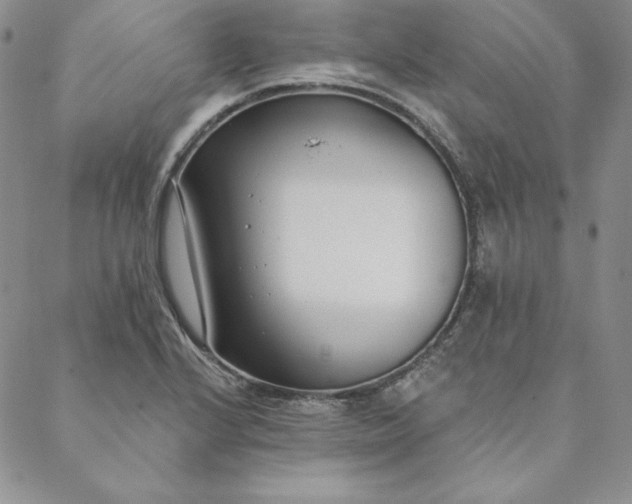 X0000088611224200706081426