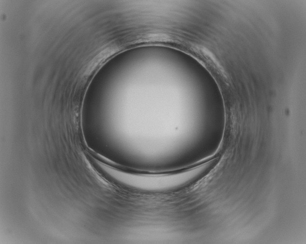 X0000088611225200706081426