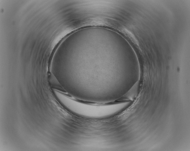 X0000088611226200706081426