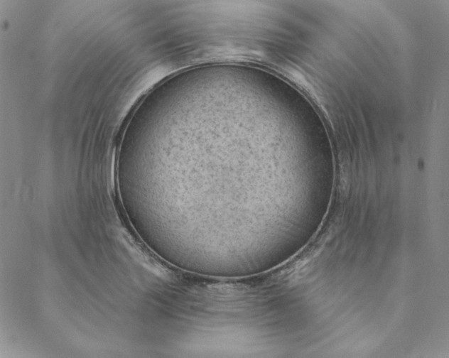 X0000088611227200706081426