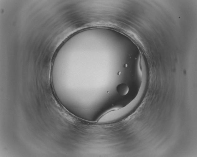 X0000088611228200706081426