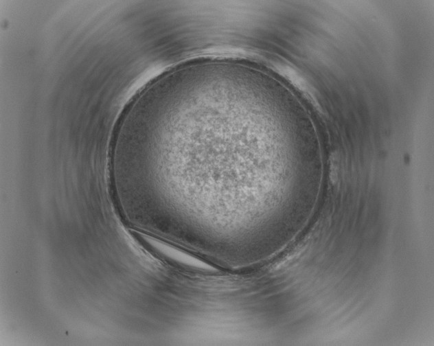 X0000088611229200706081426