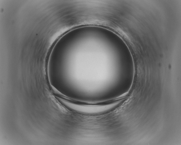 X0000088611230200706081426