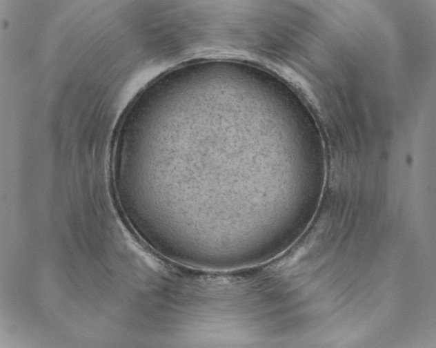 X0000088611231200706081426