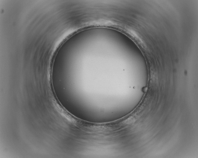 X0000088611232200706081426