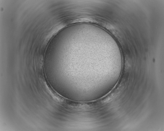 X0000088611233200706081426