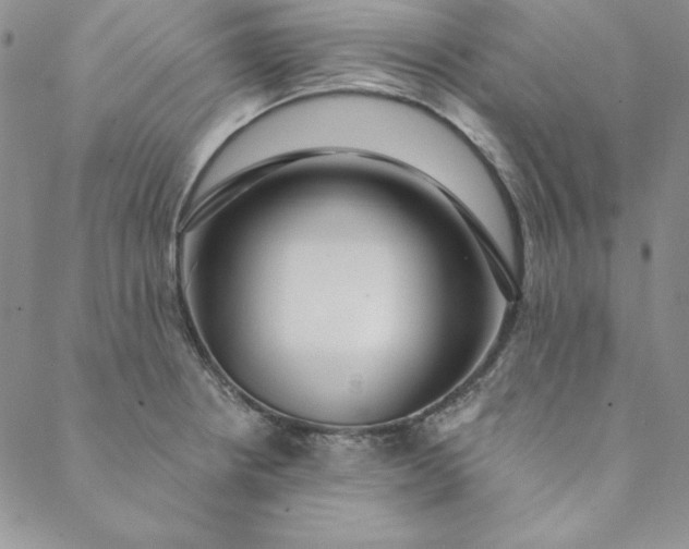 X0000088611234200706081426