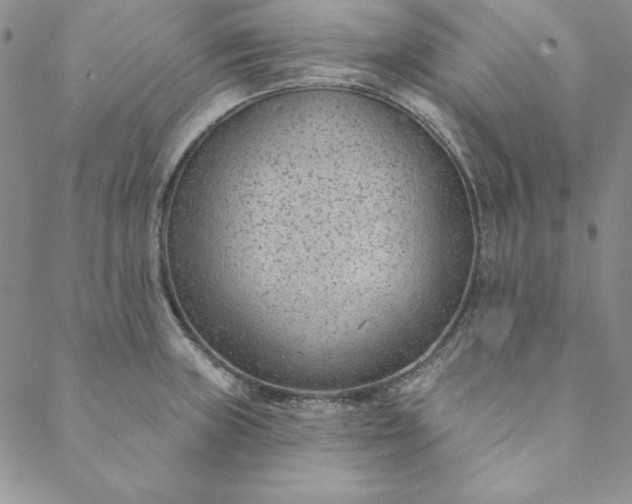 X0000088611235200706081426