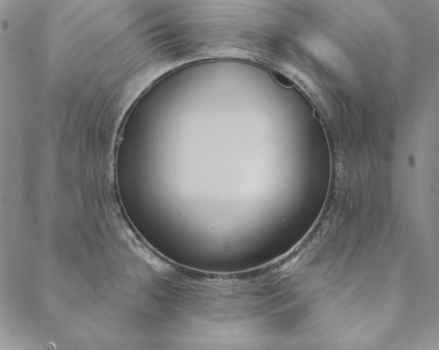 X0000088611236200706081426