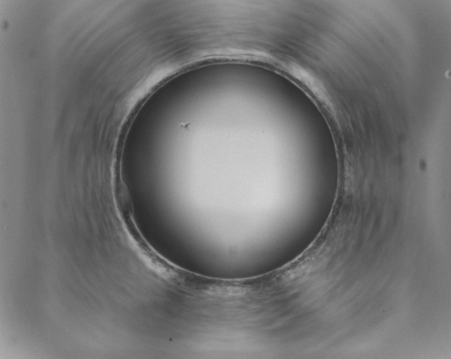 X0000088611237200706081426