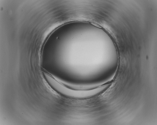 X0000088611238200706081426