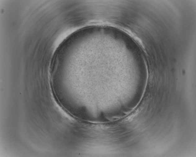 X0000088611239200706081426