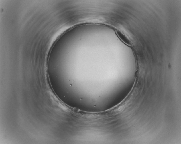 X0000088611240200706081426