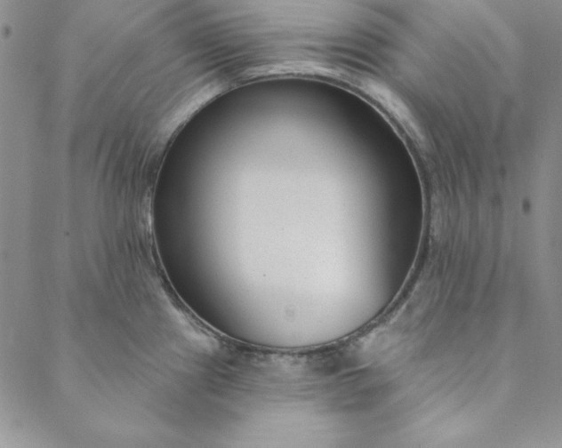 X0000088611241200706081426