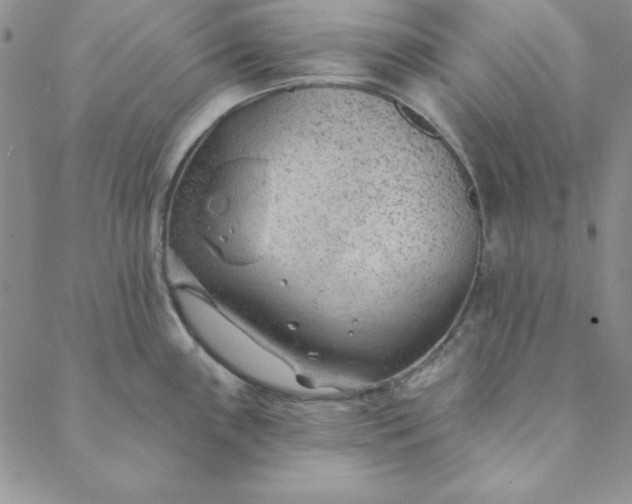 X0000088611243200706081426