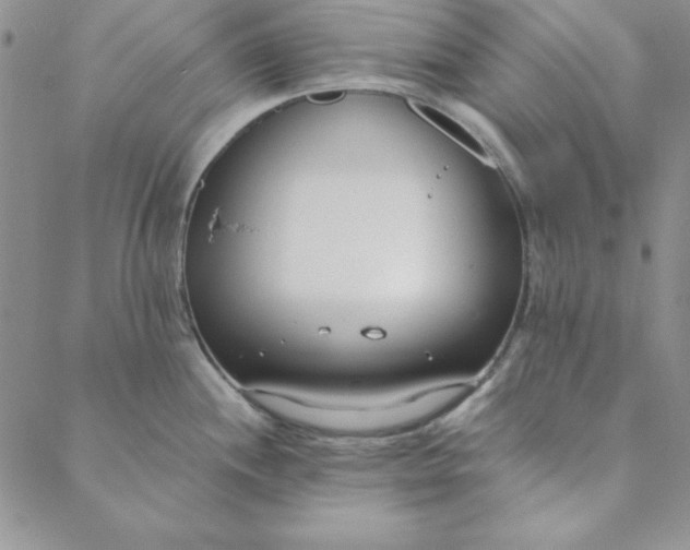 X0000088611244200706081426