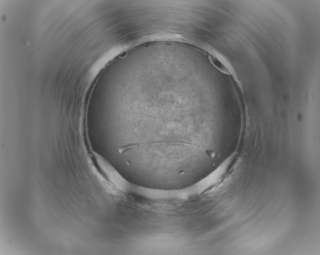 X0000088611245200706081426