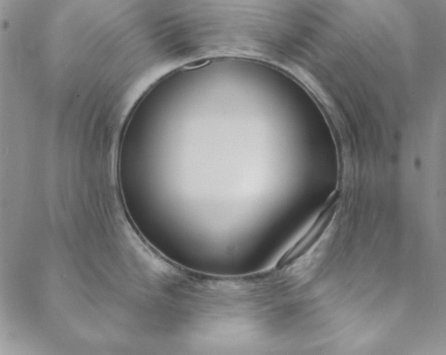 X0000088611246200706081426