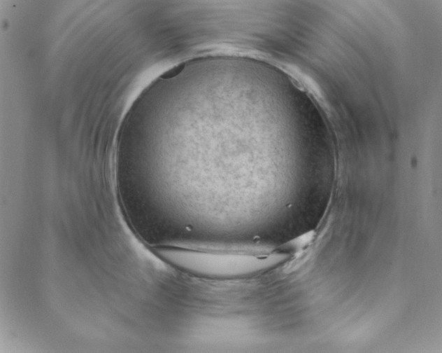 X0000088611247200706081426