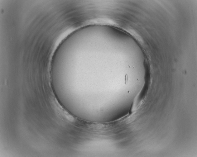 X0000088611248200706081426