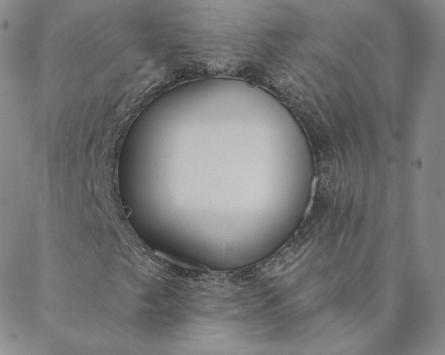 X0000088611249200706081425