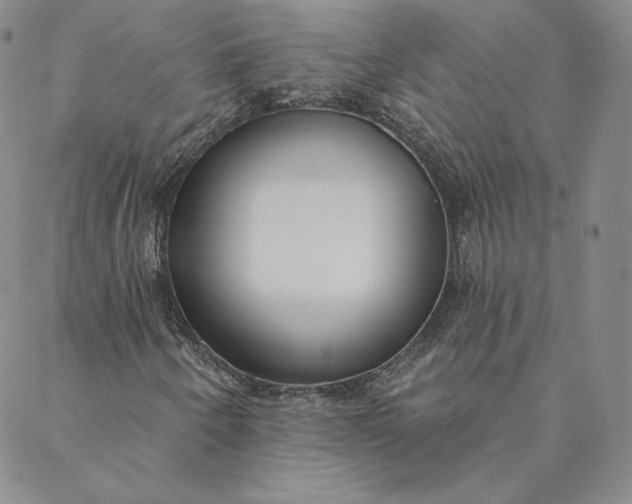 X0000088611250200706081425