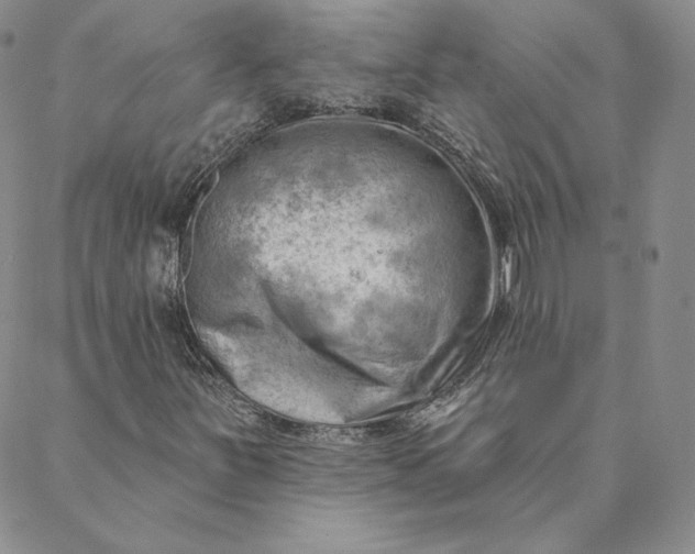 X0000088611251200706081425