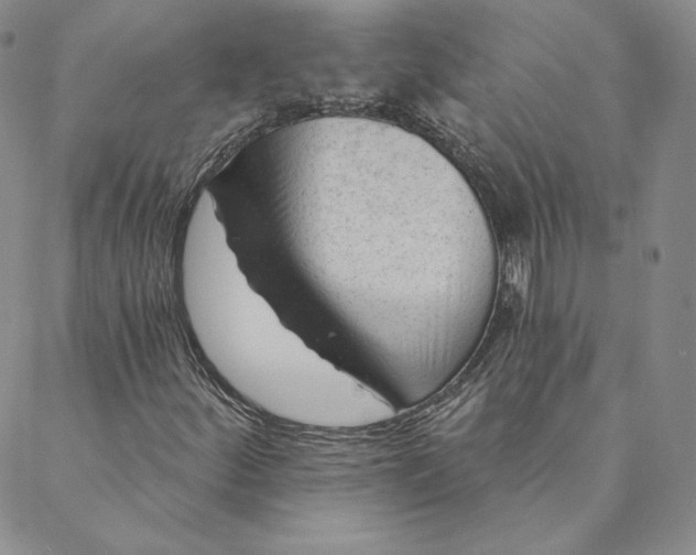 X0000088611252200706081425