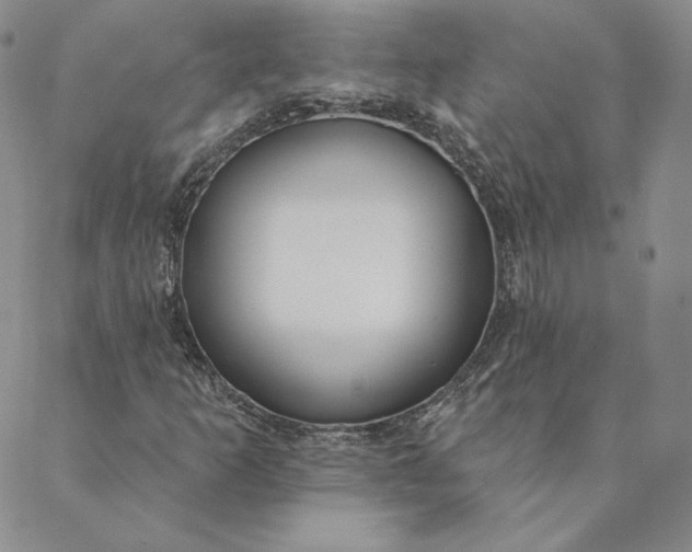 X0000088611253200706081425