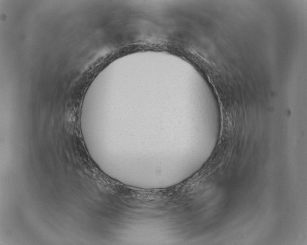 X0000088611254200706081425