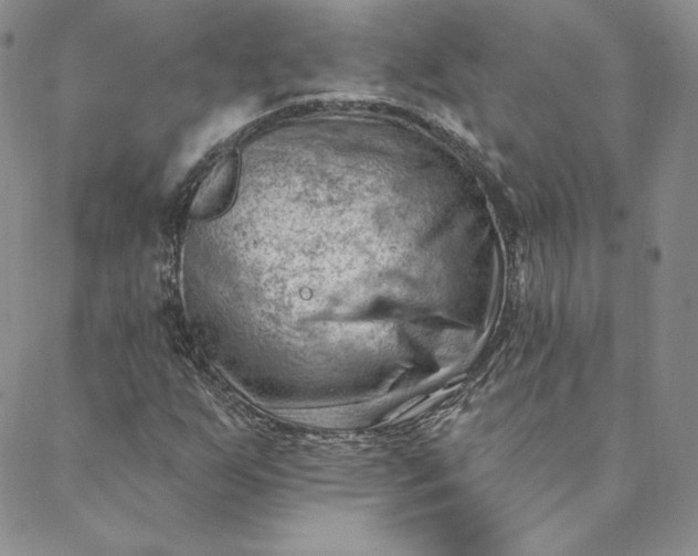 X0000088611255200706081425