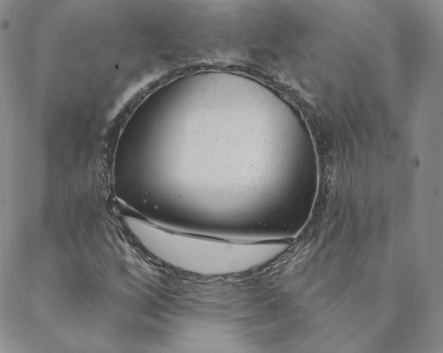 X0000088611256200706081425