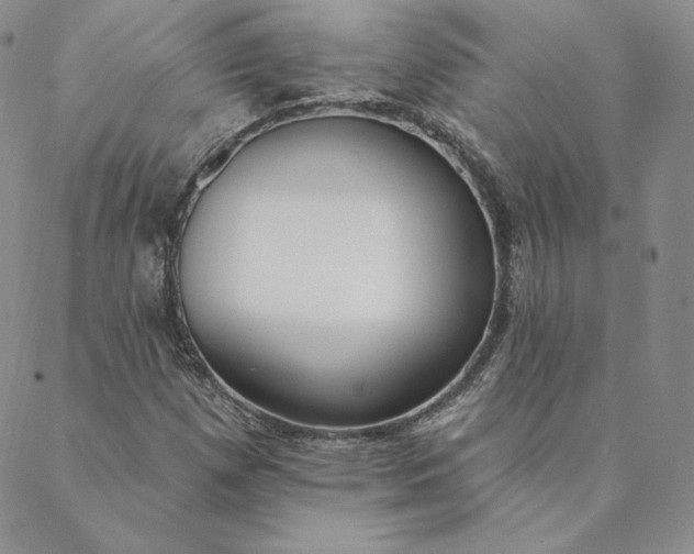 X0000088611257200706081425