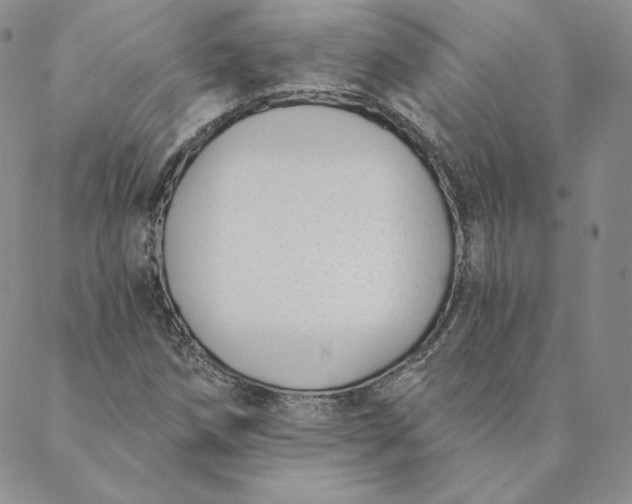 X0000088611258200706081425