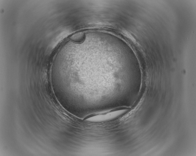 X0000088611259200706081425