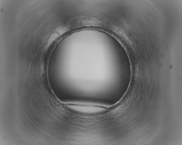 X0000088611261200706081425