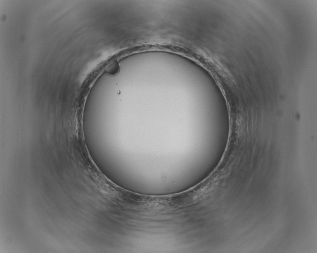 X0000088611262200706081425