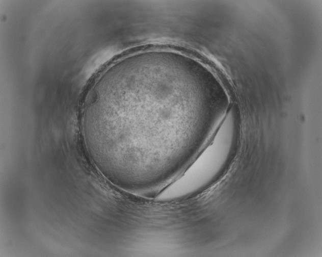 X0000088611263200706081425